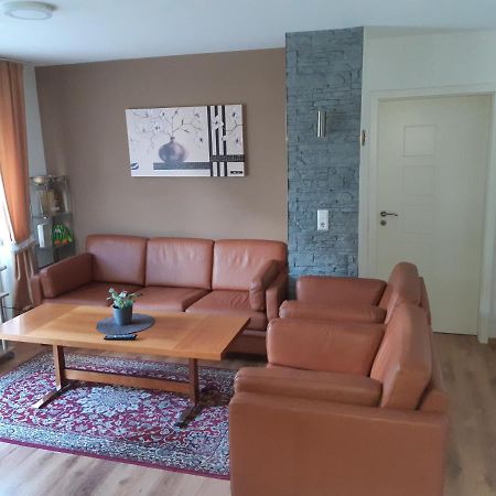 Drei Zimmer Apartment Am Rhein 巴特塞京根 外观 照片